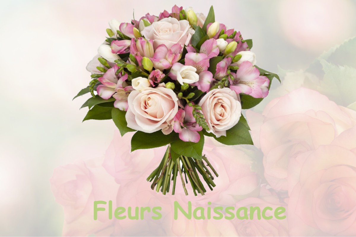 fleurs naissance LARNAUD