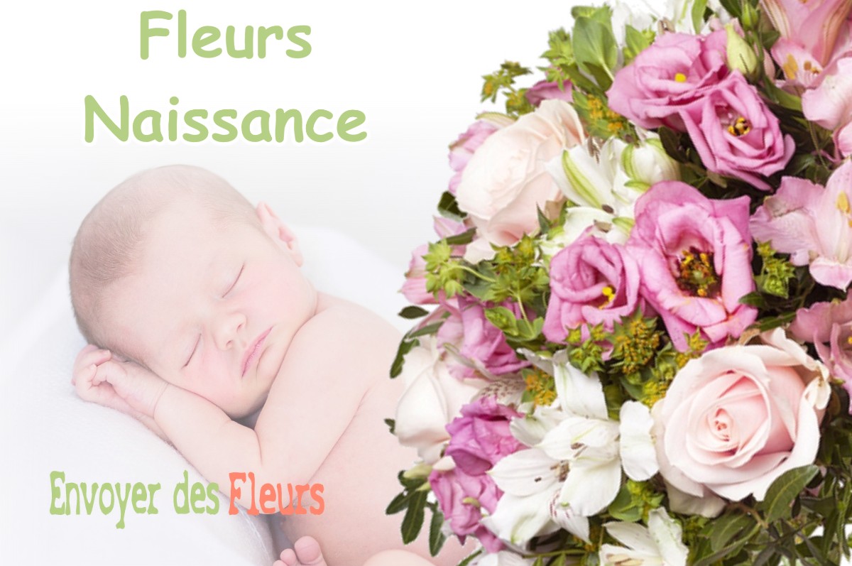 lIVRAISON FLEURS NAISSANCE à LARNAUD